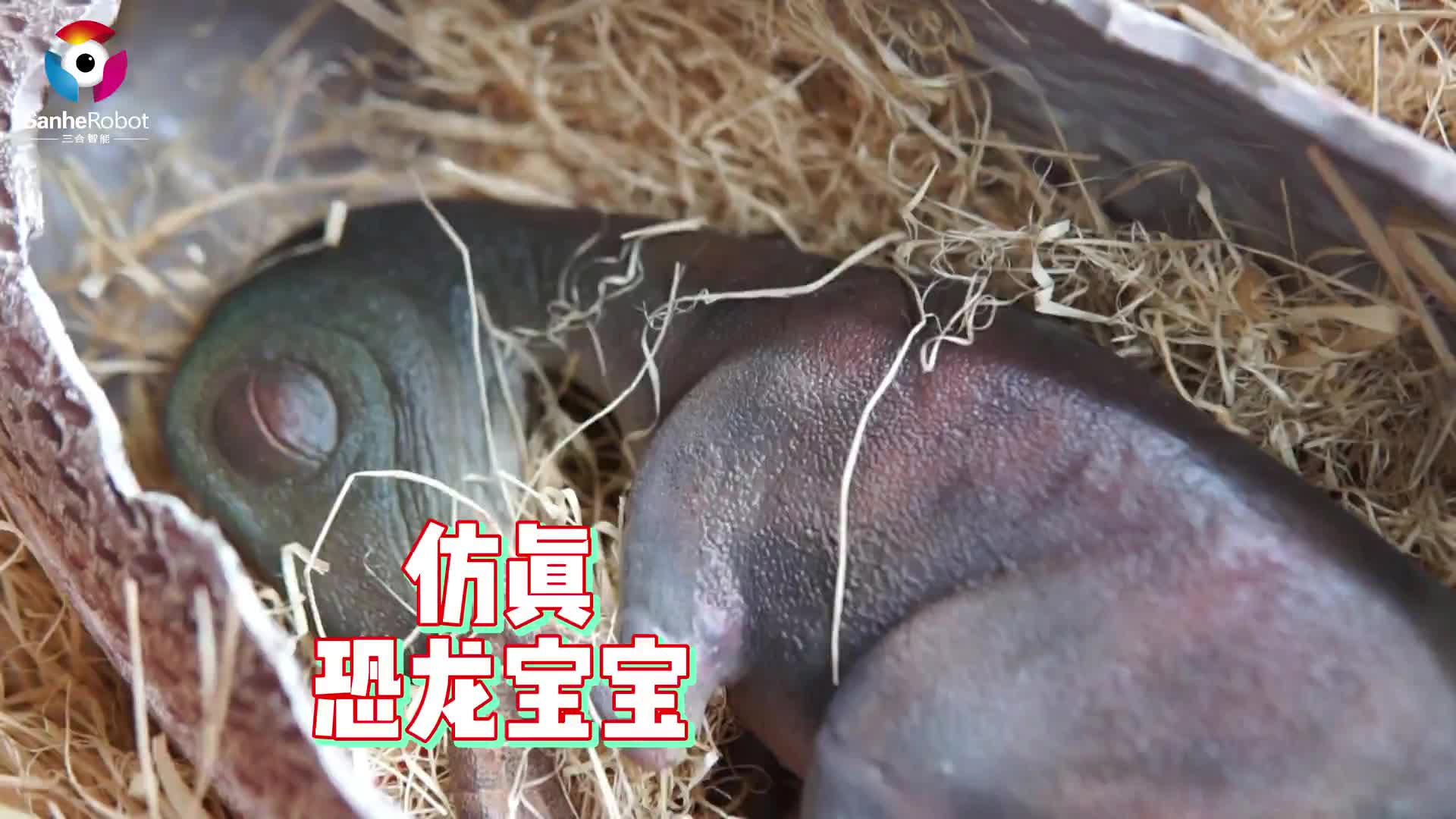三合智能仿真恐龍寶寶